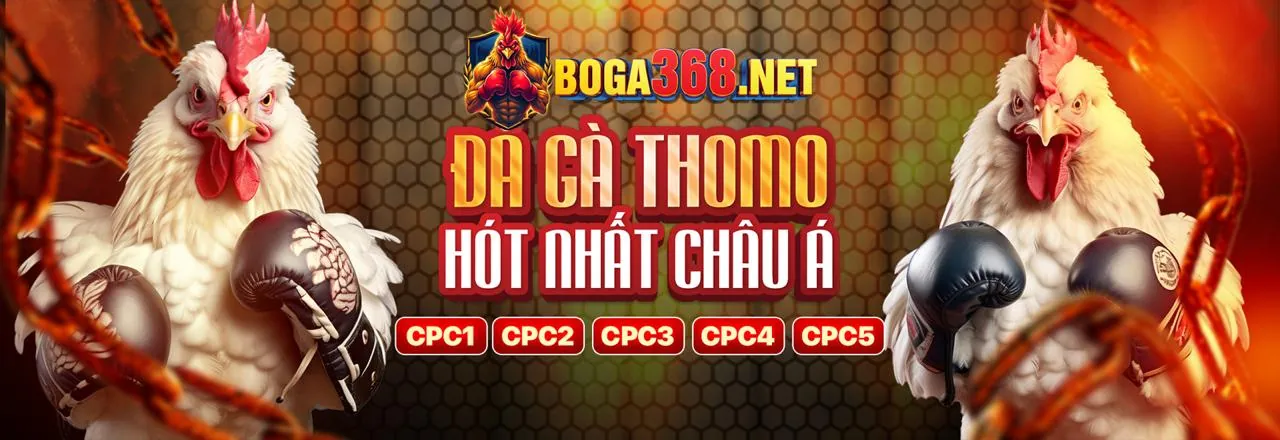 Phân tích cá cược thể thao chuyên sâu new8808